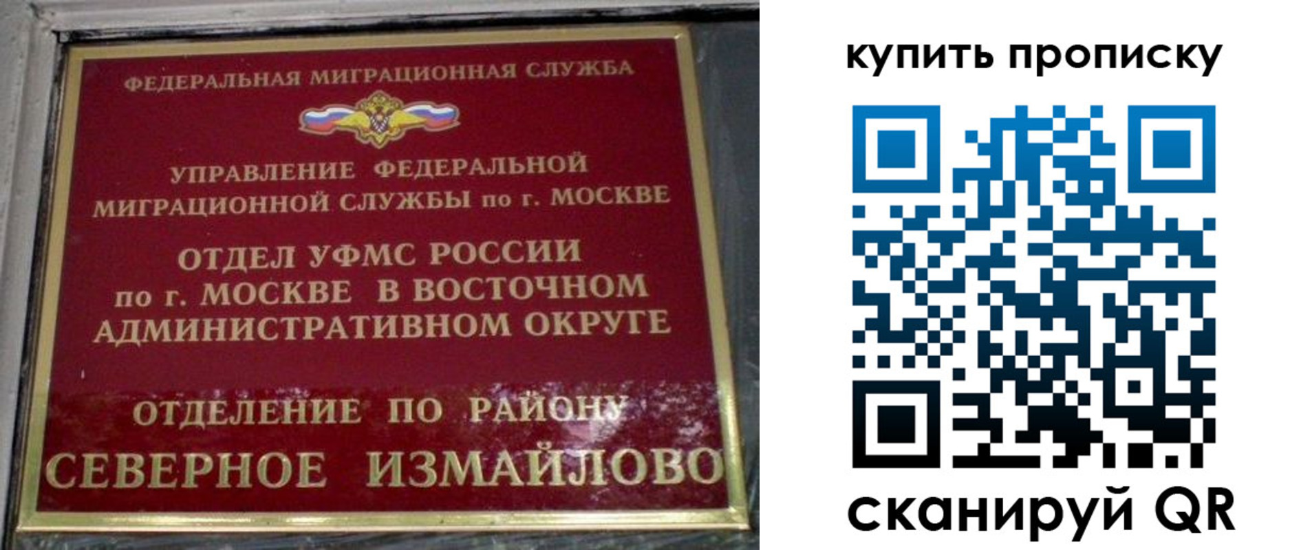 прописка в квартире в Бийске